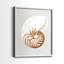 Nautilus - reproduction encadrée de qualité supérieure - prête à être accrochée - aucun clou requis - aucun clou requis-79783357-79783353