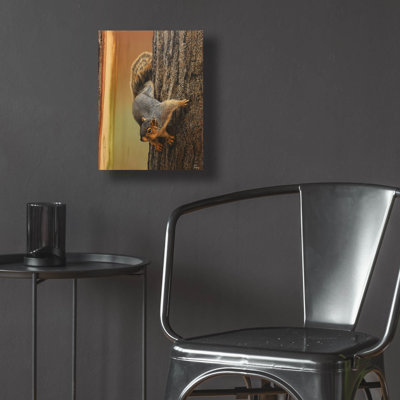 Epic Art 'Curious Squirrel'  by Jim Brune Acrylic Glass Wall Art, 12" x 16"