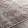 Dicken Oriental Indoor Rug