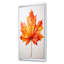 Minimalisme orange feuille d'érable - Art mural érable-753161406-555437387