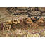 Oriental Area Rug