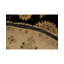 Wool Oriental Area Rug