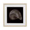 «Seashell Treasure of Sea», reproduction sous verre encadrée, design par Mary Sparrow