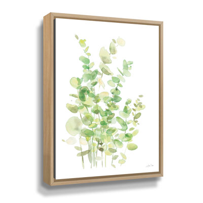 " Eucalyptus II " Painting Print