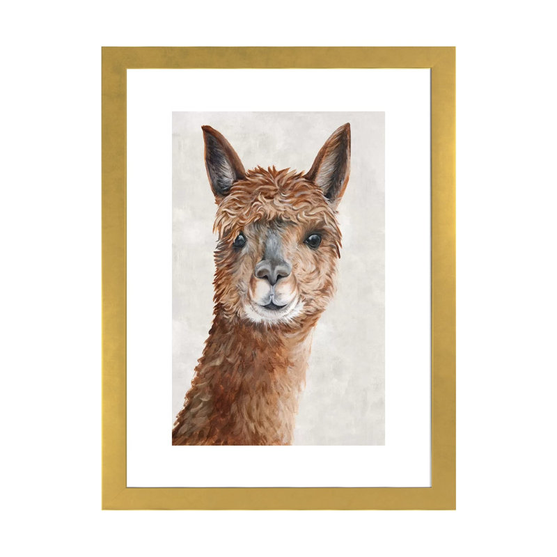 «Suri Alpaca II» par Eva Watts - reproduction d'art, H 32 po x l 24 po x P 1 po, Papier encadré doré, Blanc