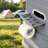 Portable Toilet
