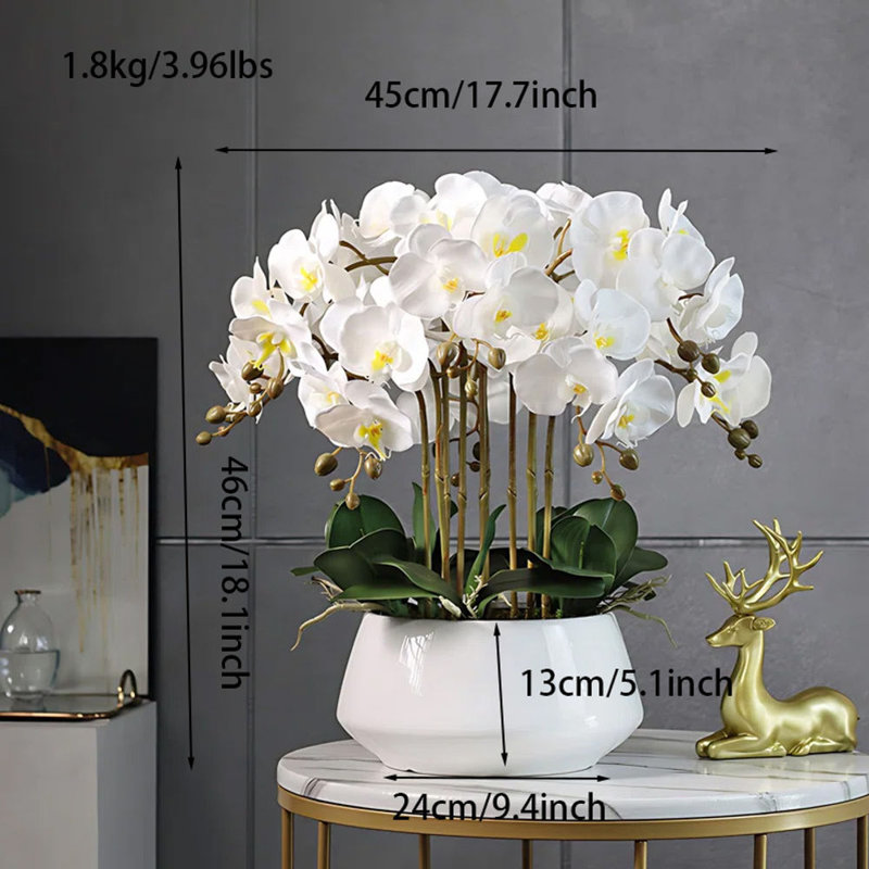 Arrangement d'orchidées en pot, Blanc