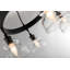 Muncie 6 - Light Chandelier