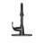 Vetta Pull Down Kitchen Faucet-100894139