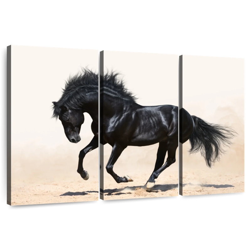 Black Stallion, 32" H x 50" W