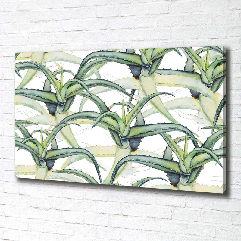 Aloe - Wrapped Canvas Print