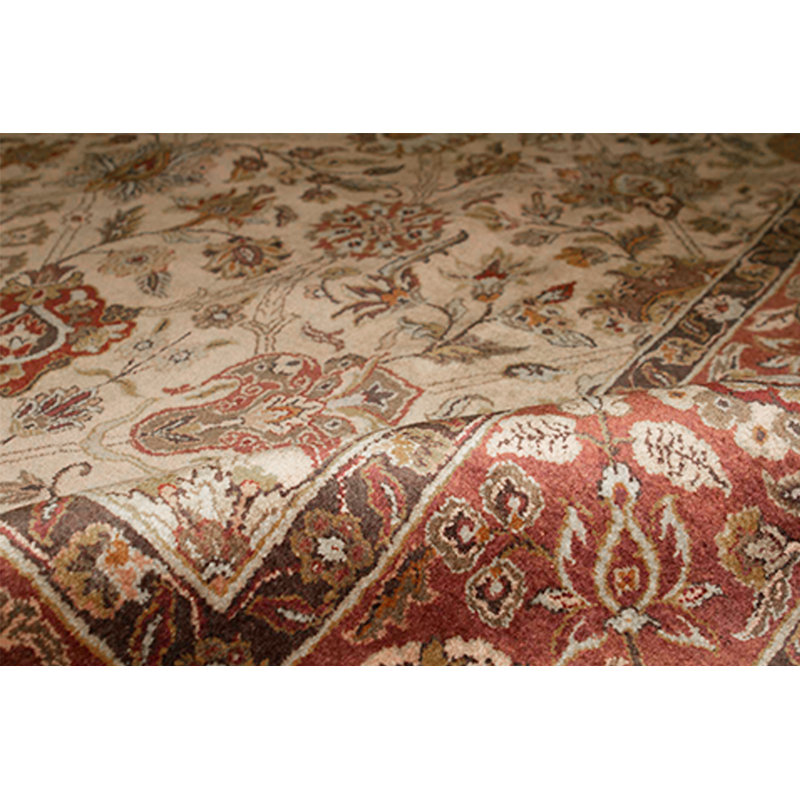 Oriental Area Rug
