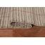 Tapis indien rayé fabriqué à la main Gabbeh 5 x 8