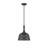 Saxon 1-Light Dimmable Dome Pendant-1953057661
