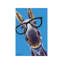 Donkey Snickers Glasses - Wrapped Canvas Painting-1386699326