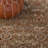 Evie Hand Tufted New Zealand Wool Oriental Rug-519053110