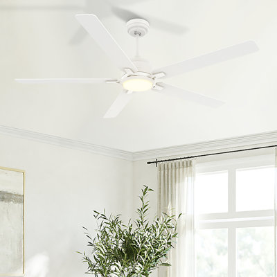 Amonette 60'' Ceiling Fan with LED Lights