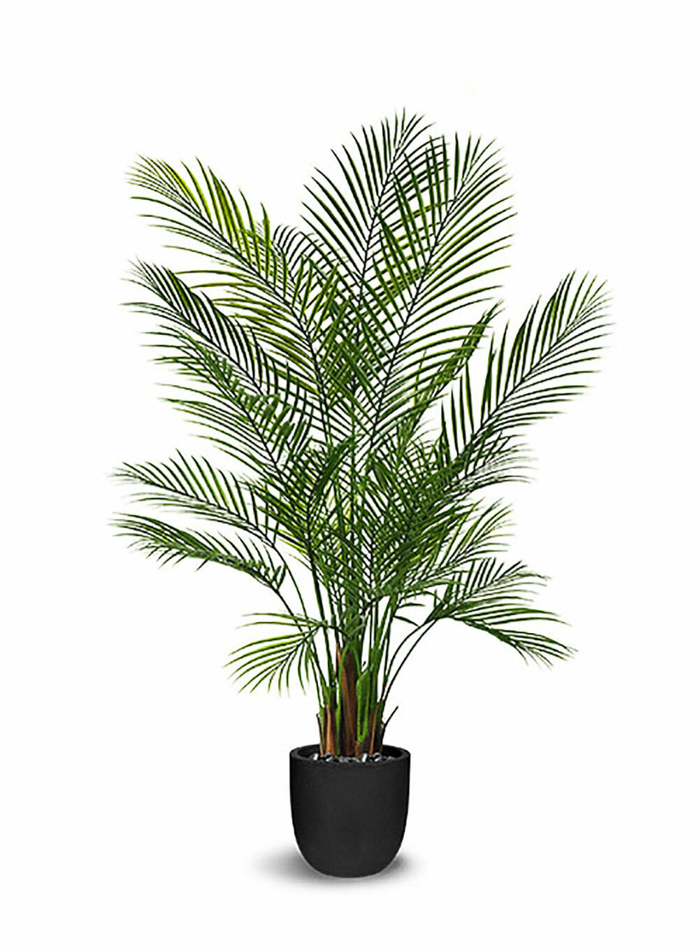 Bayou Breeze Faux Botanical Areca Palm in Green Finish 59