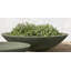 Zen Planter-24768418-24768427
