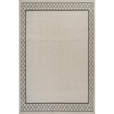 Indoor Outdoor Area Rug