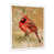 Cadre photo blanc