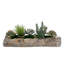 Faux Succulent Plant in Cement Log