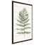 «Fern Print II» par Moira Hershey - impression-65864413-65864411