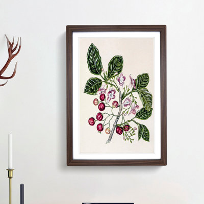 Puriri Vitex Lucens Flowers by Sarah Featon - Picture Frame Painting Print