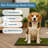 PETMAKER Artificial Grass Puppy Pad for Dogs and Small Pets - Reusable Training Potty Pad - Dog Housebreaking Supplies