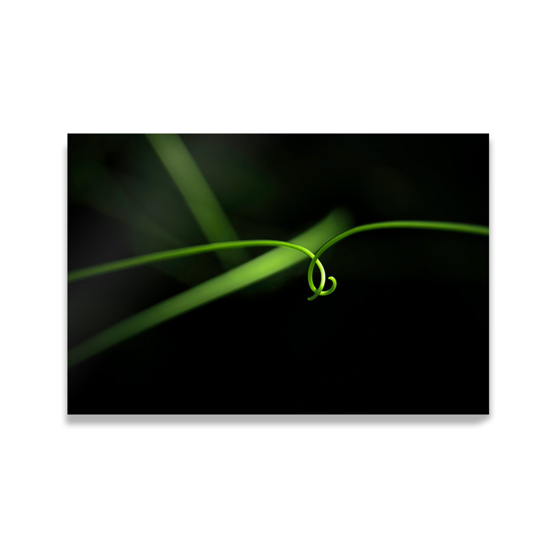 Soft Touch Print by Shawn Thomas, 32" H x 48" W x 2" D