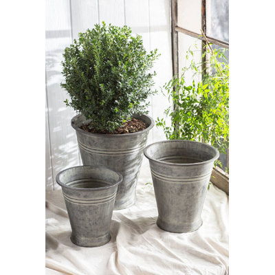 Alize Metal Pot Planter