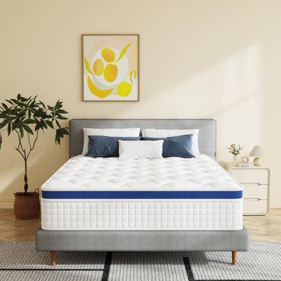 14" Medium Hybrid Pocket Spring Memory Foam Mattress in a Box by Ebern Designs