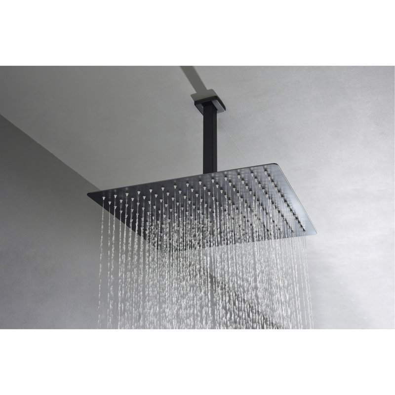 Pomme de douche 16 po Luxury, Noir mat