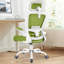 Chaise de bureau ergonomique Everdene-340222553-393984284