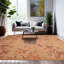Tapis brun clair unique de 9 pi 1 po x 11 pi 11 po