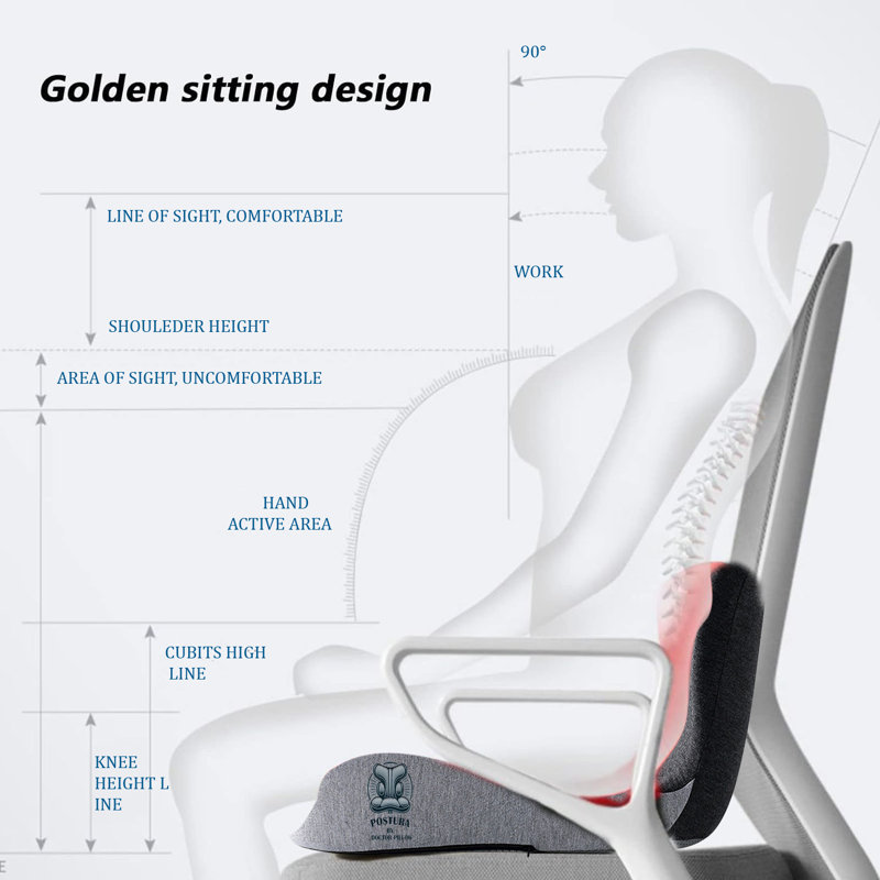 Doctor Pillow Icey Heat Back Support by Doctor Pillow