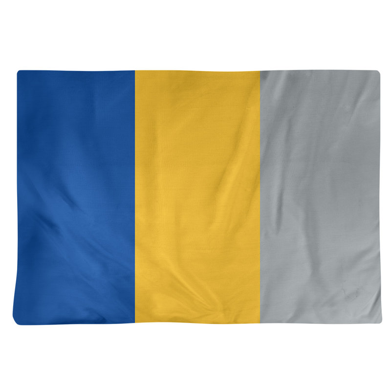 Récapitulatif 14" hockey St. Louis, Bleu royal / doré / gris, Polyester