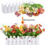 Arrangement de marguerites en pot