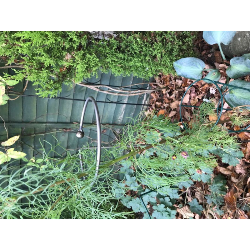 Aylianna Metal Plant Support, 91.4cm H x 17.7cm W x 17.7cm D