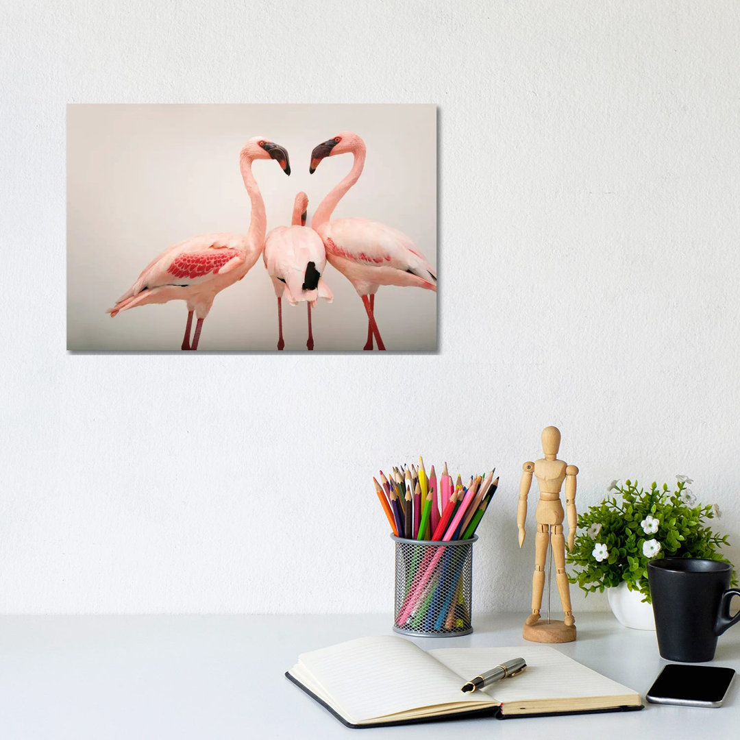 Three Lesser Flamingos At The Cleveland Metroparks Zoo von Joel Sartore - Gallery-Wrapped Canvas Giclée