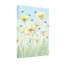 Plantes et fleurs, fleurs jaunes, fougères, toile de fond, ciel-1235782446