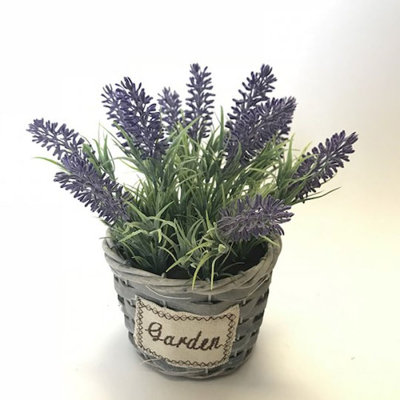 Arrangement floral lavande en pot