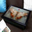 Breakfast Tray