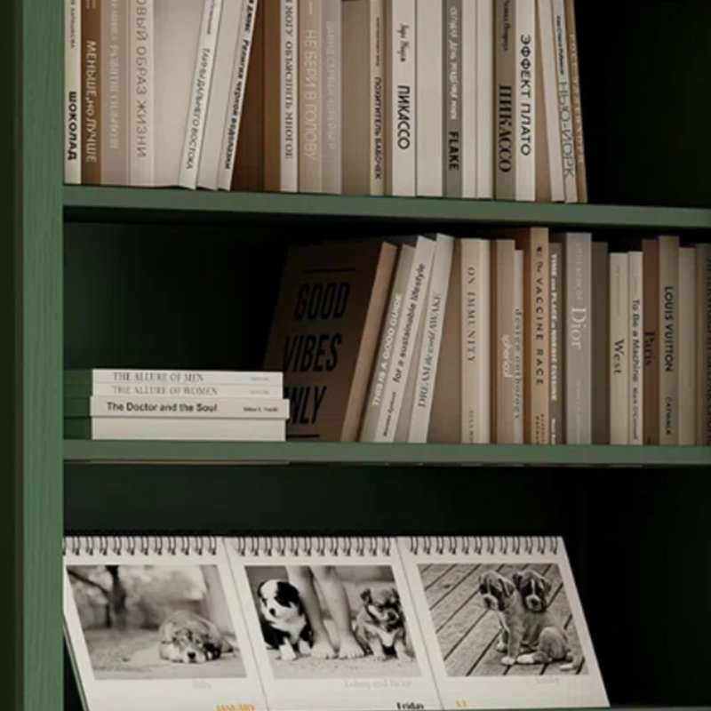Bibliothèque de salon verte