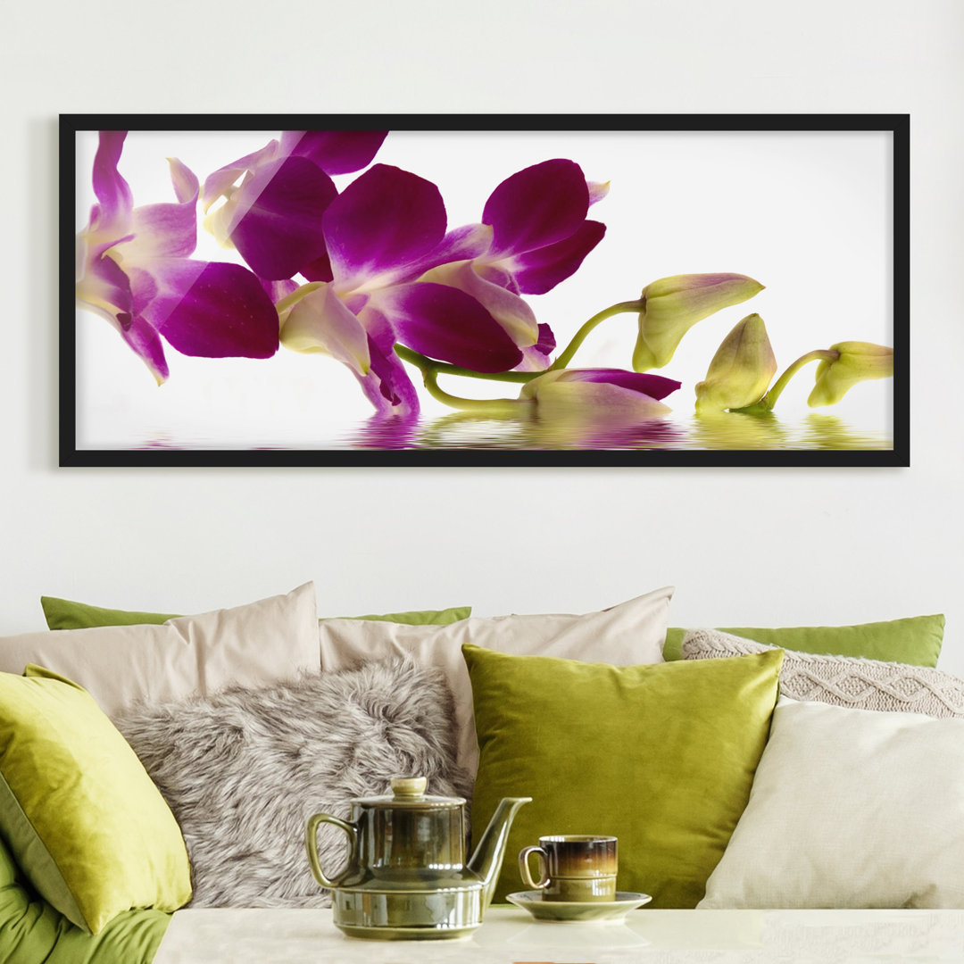 Gerahmtes Poster Pink Orchid Waters