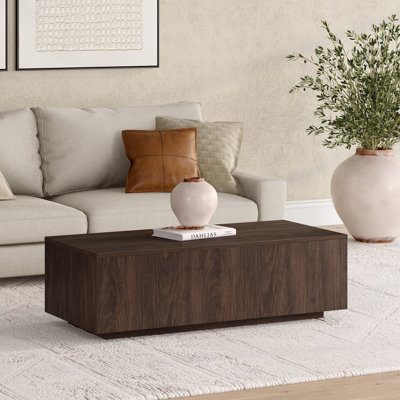 Table basse 48 po Paxton