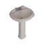 Lavabo de salle de bain ovale en céramique avec trop-plein 27 po Regent-40144937-40144936