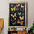 " Collected Flutter III "-1770797076-1770797077