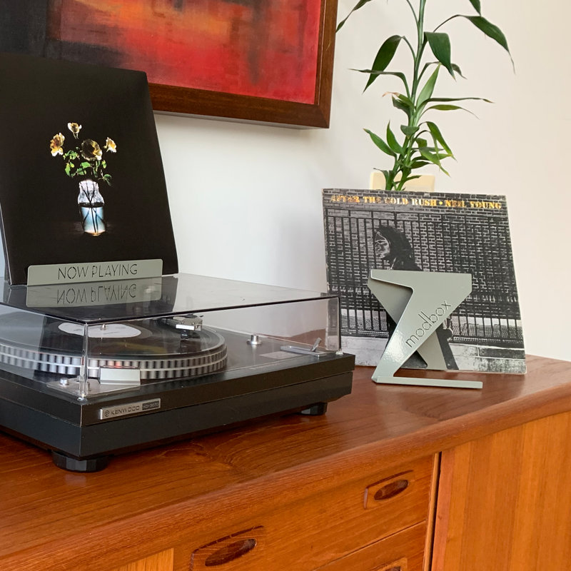 Présentoir à disques vinyle moderne aux couleurs rétro, Gris eucalyptus