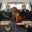 Polyester Pet Bed-947495499